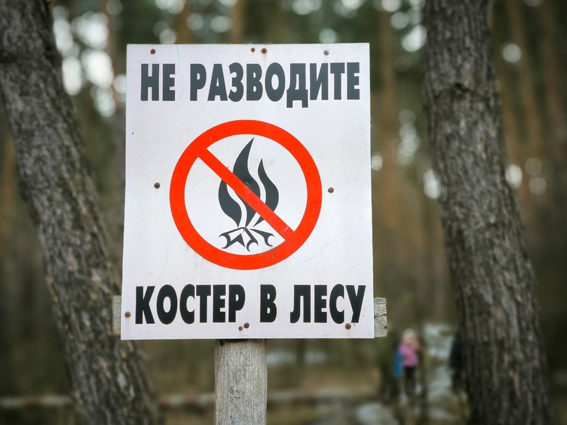 В Курской области продолжаются патрулирования лесов