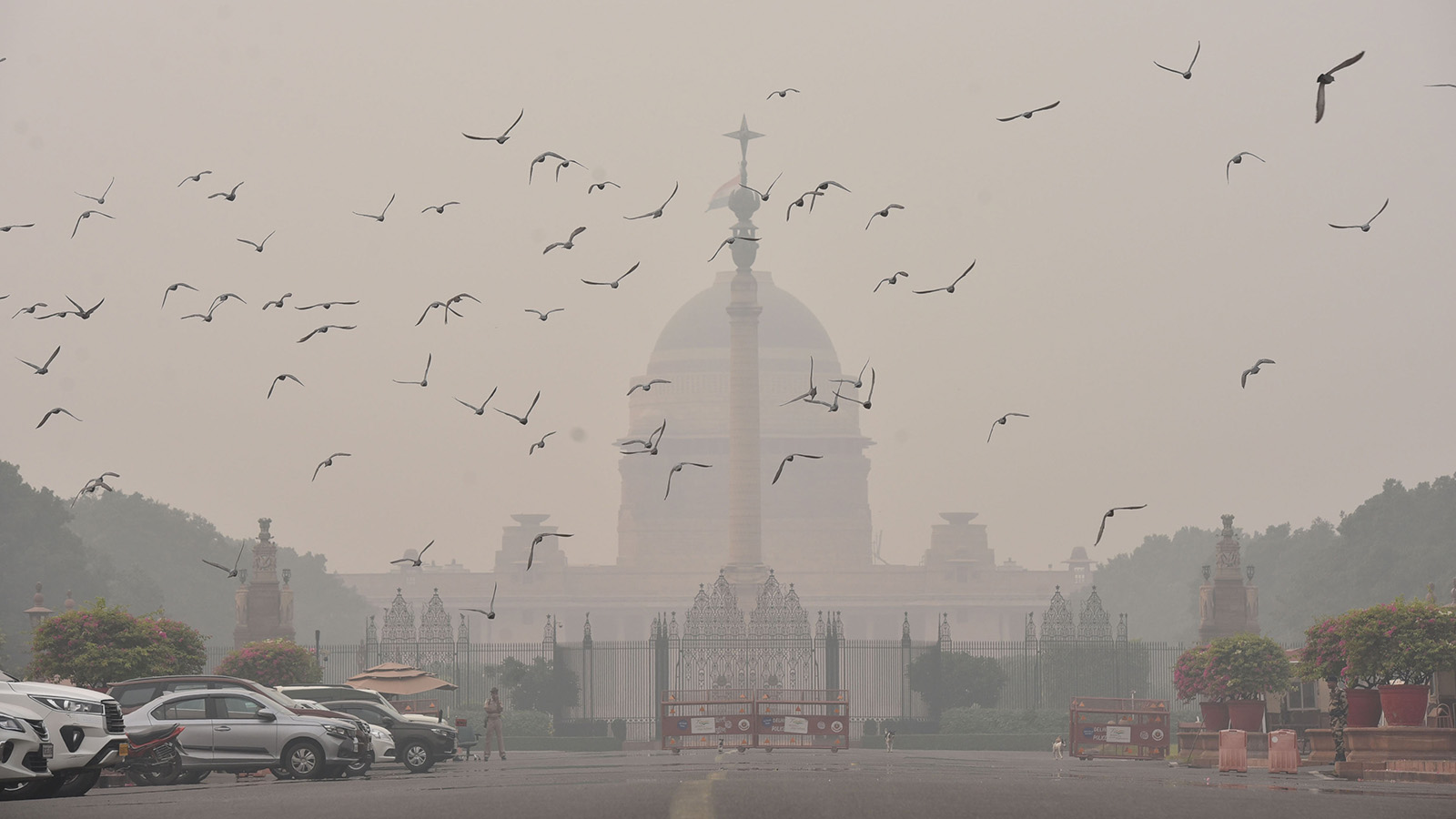 От Новой Зеландии до Бангладеш: в каких странах самый чистый и самый грязный воздух